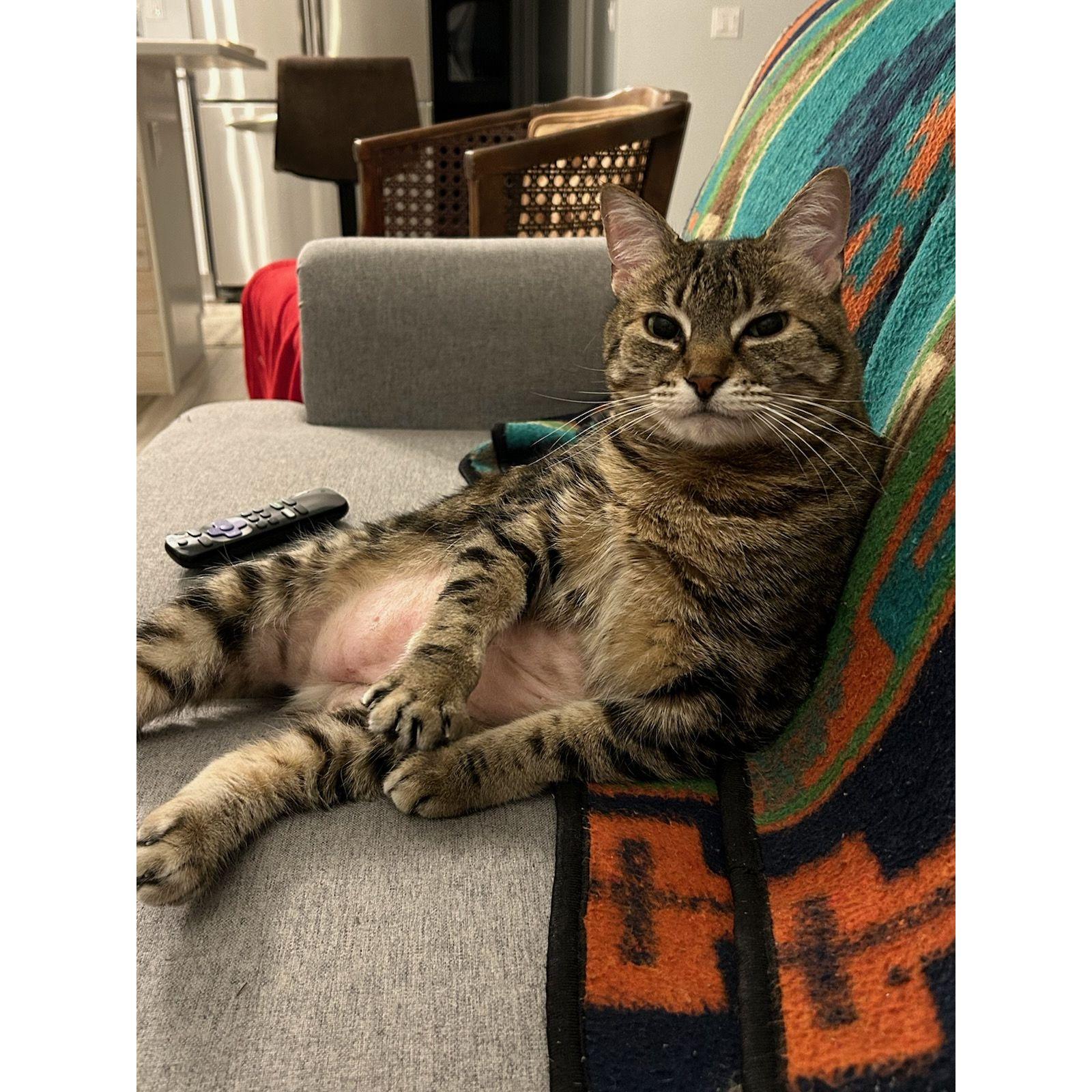 Loungin' in Tucson