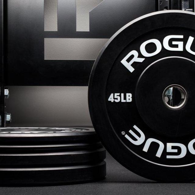 Rogue Echo Bumper Plates (2) Each of 10-25-35-45LB plates, inc. shipping!)