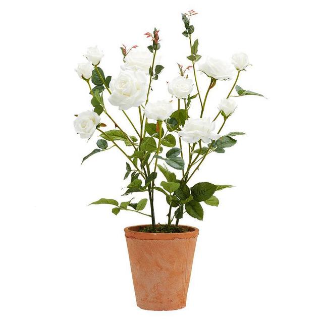 Faux Potted Roses, White - Medium