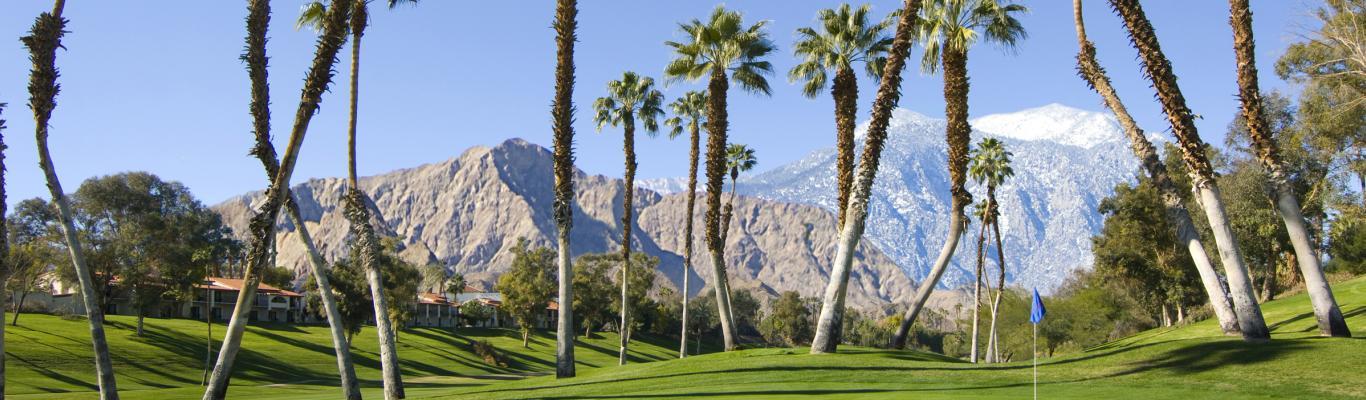 The Wedding Website of Sarah Elizabeth Klein and Joseph Callahan Daly