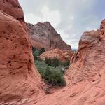 Garden of the Gods