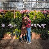 Atlanta Botanical Garden