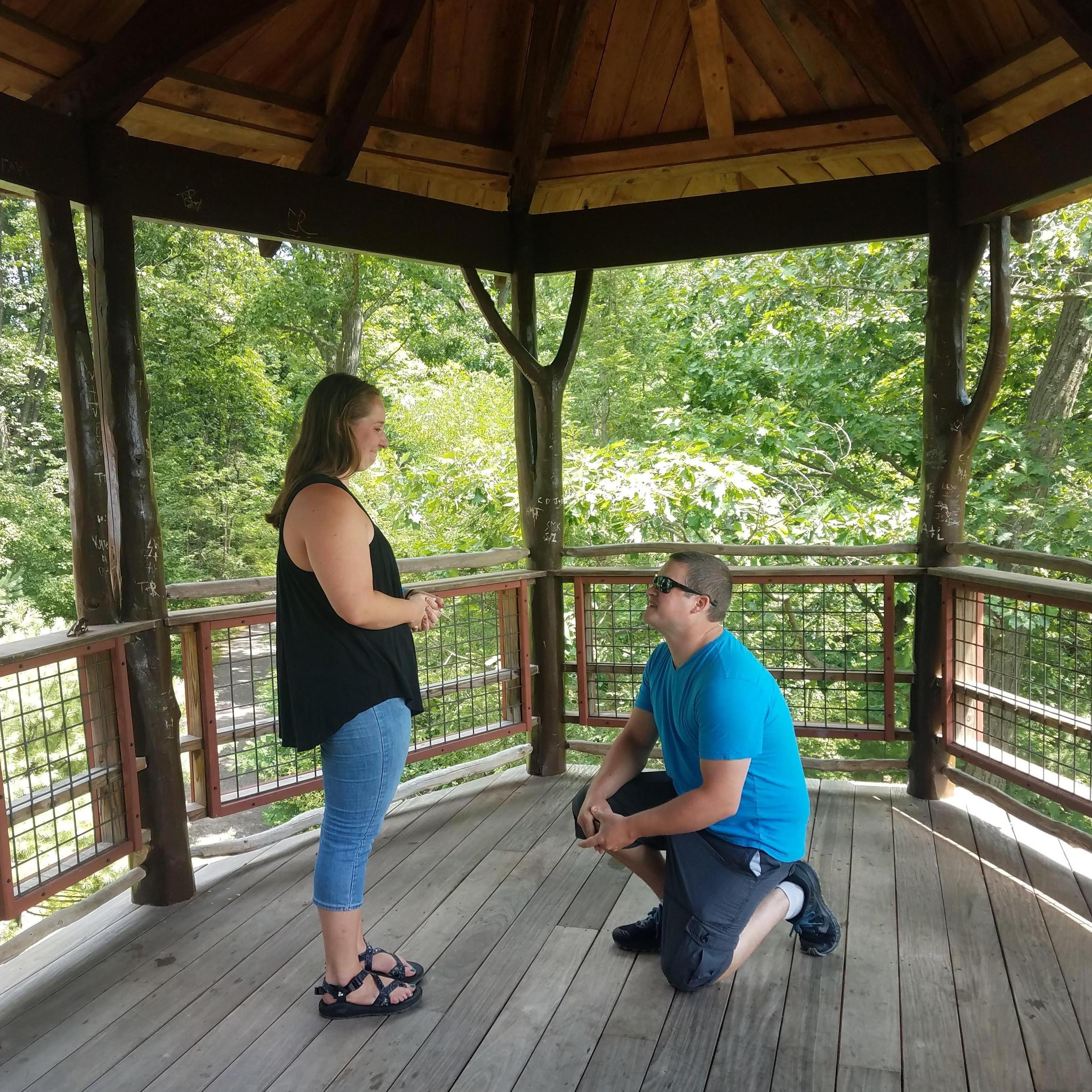 The proposal in Scranton, NY. A gorgeous wooden hut overlooking the river.