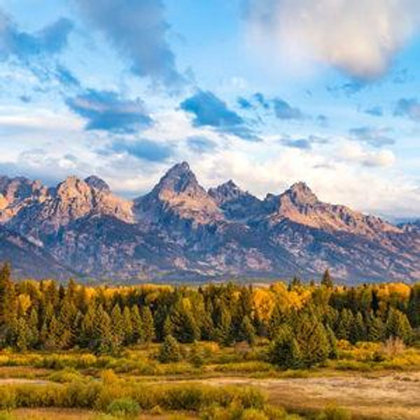 National Park Pass