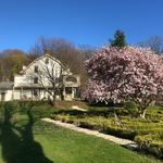 Cedarmere Park