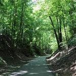 Clarksville Greenway