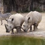 The Maryland Zoo in Baltimore