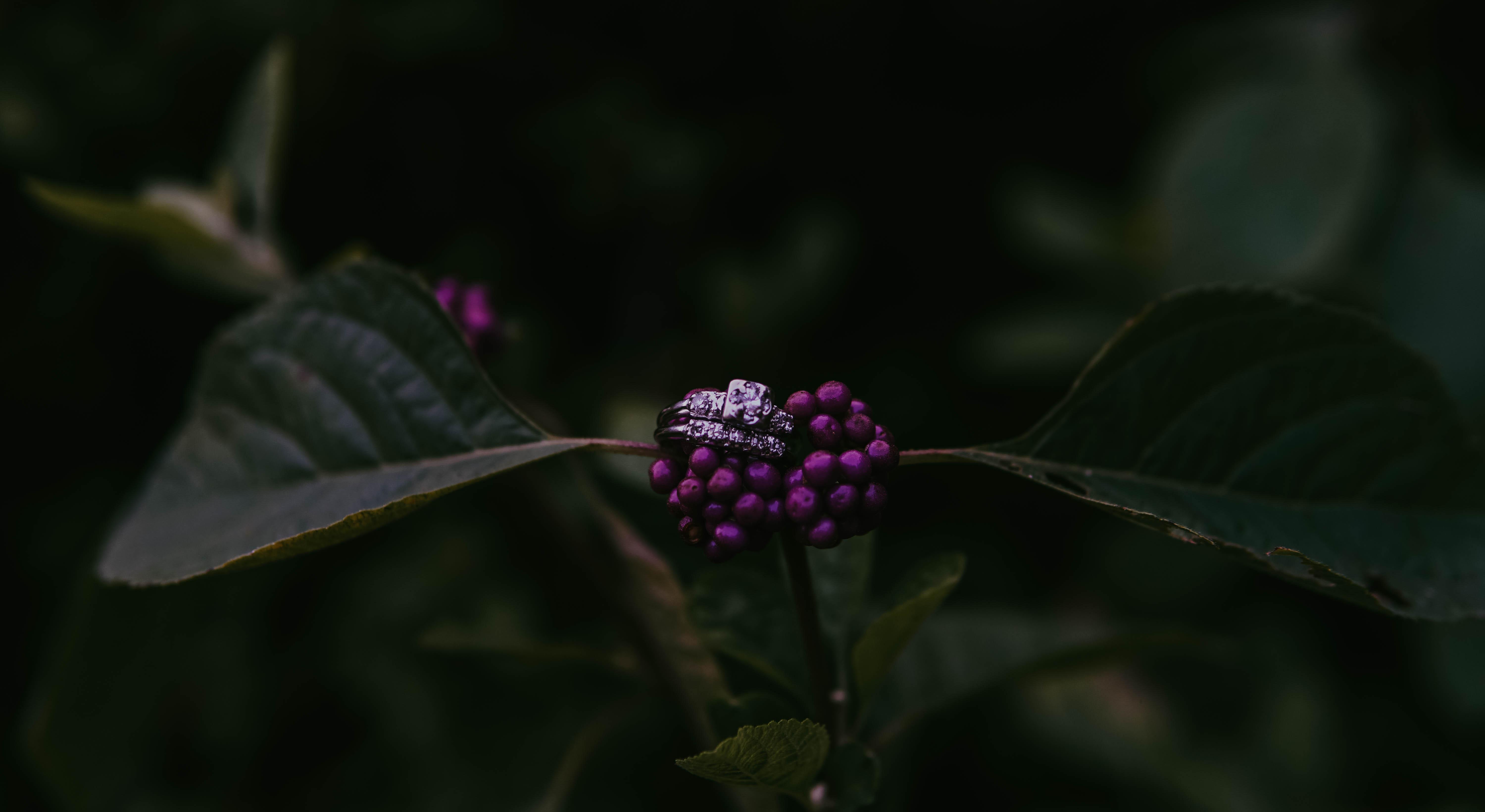 Footer image
