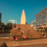 Must Try Restaurants in Springfield