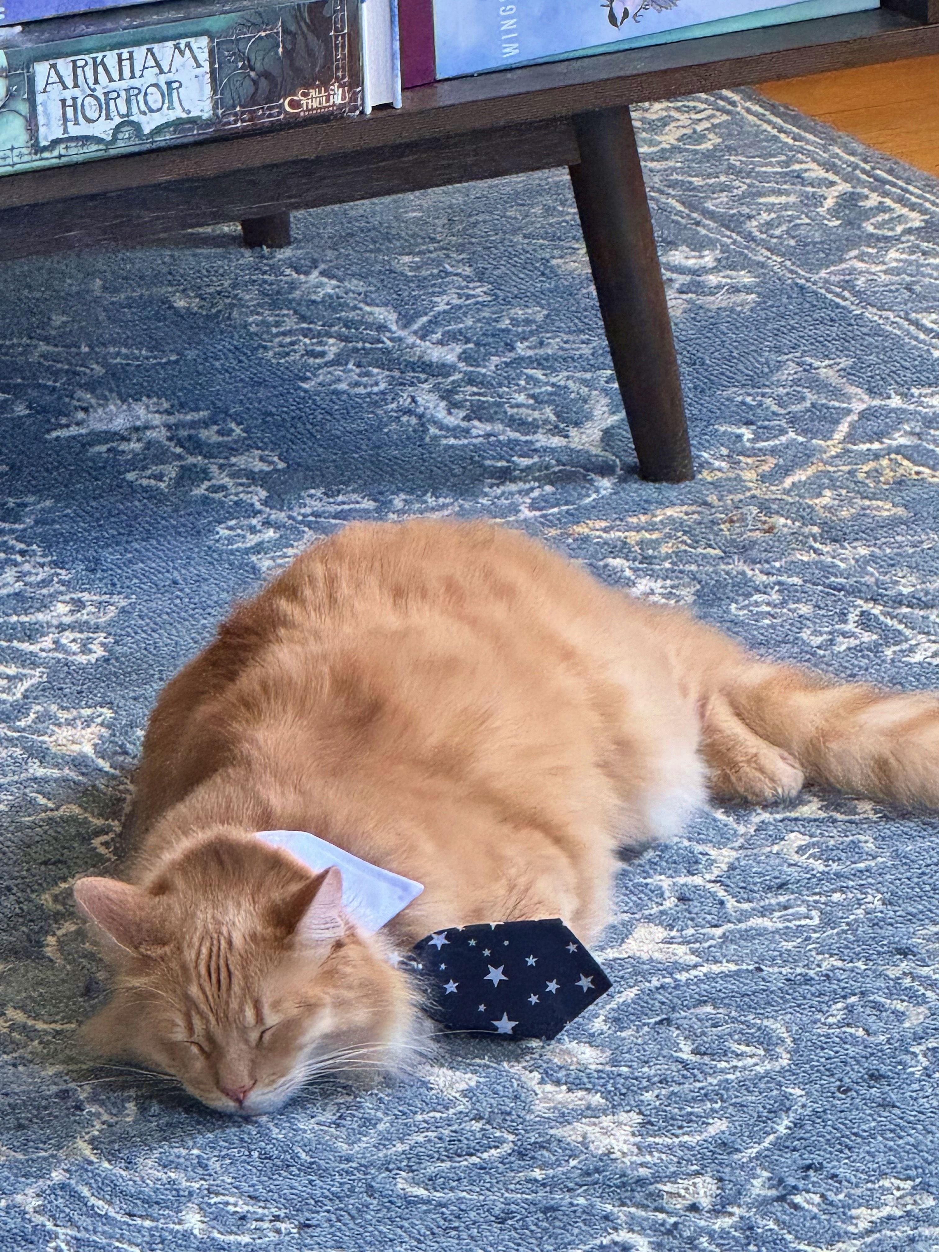 The Wedding Website of Evan Kahn and Brett Trace