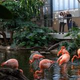National Aviary