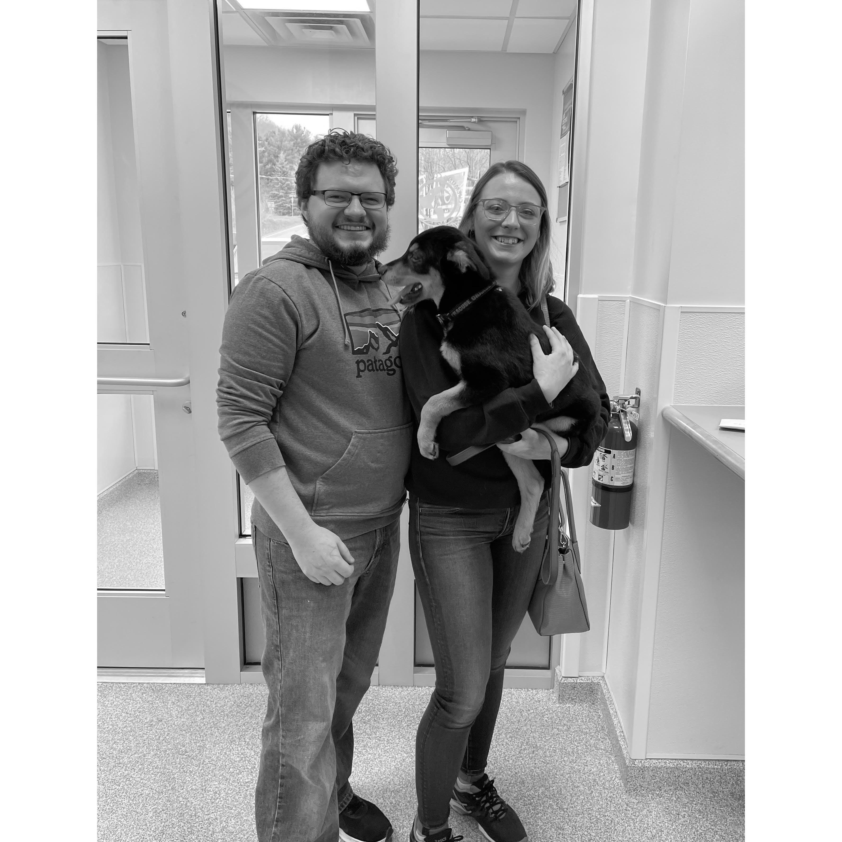 Picking Mosby up from the Chemung County SPCA the day we adopted him.