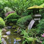 Japanese Garden
