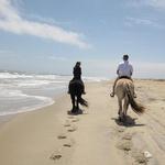 Hatteras Island Horseback Riding