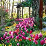 Gibbs Gardens