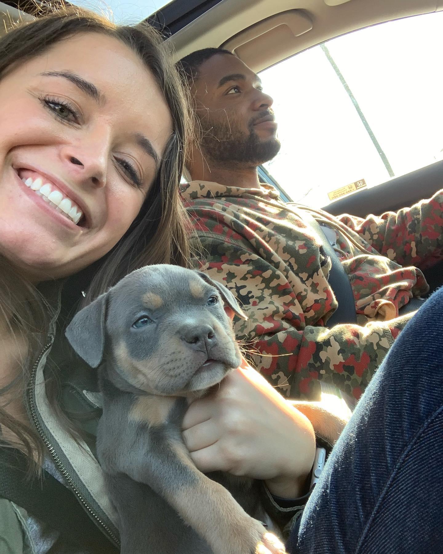 The day we got Remy!
