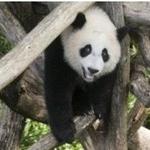 Smithsonian National Zoological Park