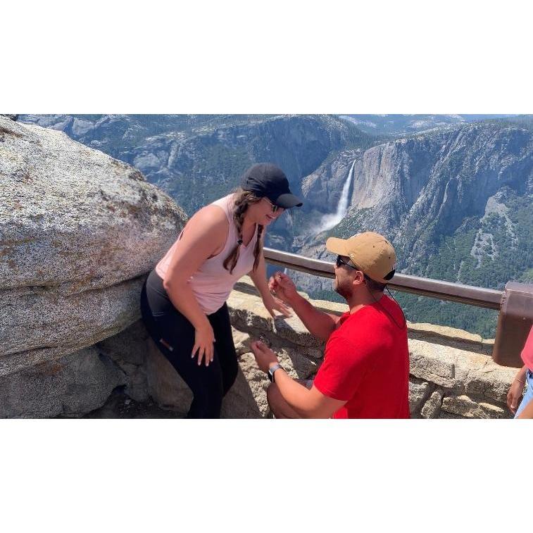 The proposal!