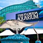 The Florida Aquarium