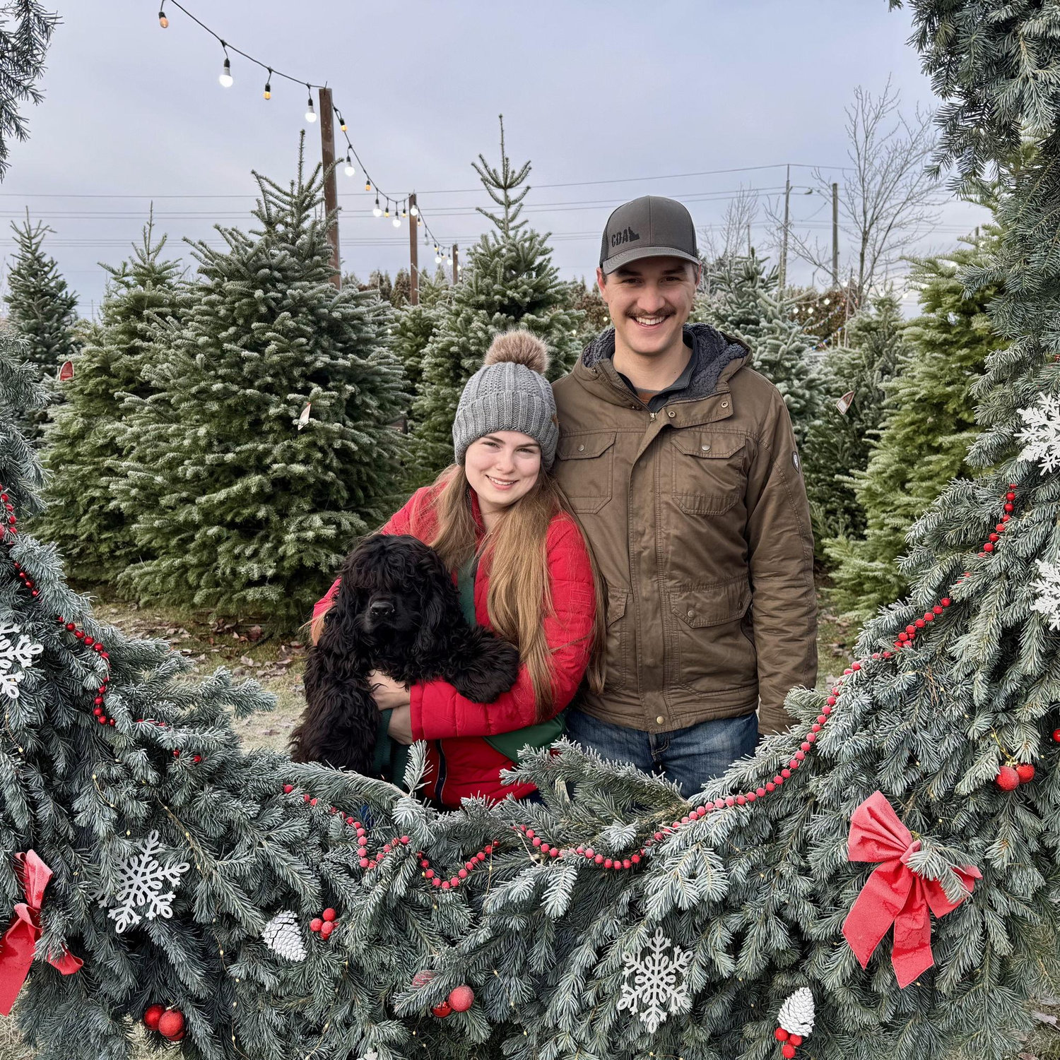 Christmas Tree Farm December 2025.
