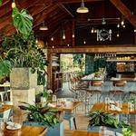 Shop & Eat: Terrain