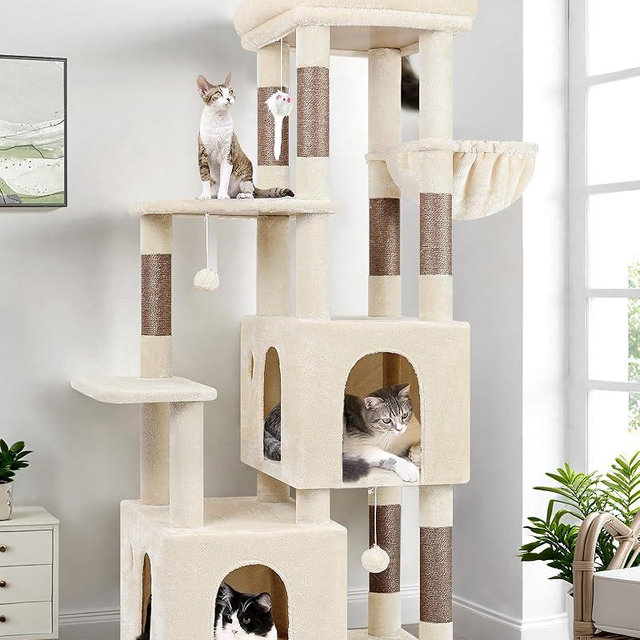 Globlazer Cat Tower for Indoor Cats, Heavy Duty Cat Trees for Large Cats Adult Big Cats Maine Coon Cat Tree Tower with Scratching Post, Extra Large Top Perch, Cat Condos, F61, Beige, 61inch