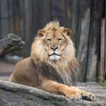 Cleveland Metroparks Zoo