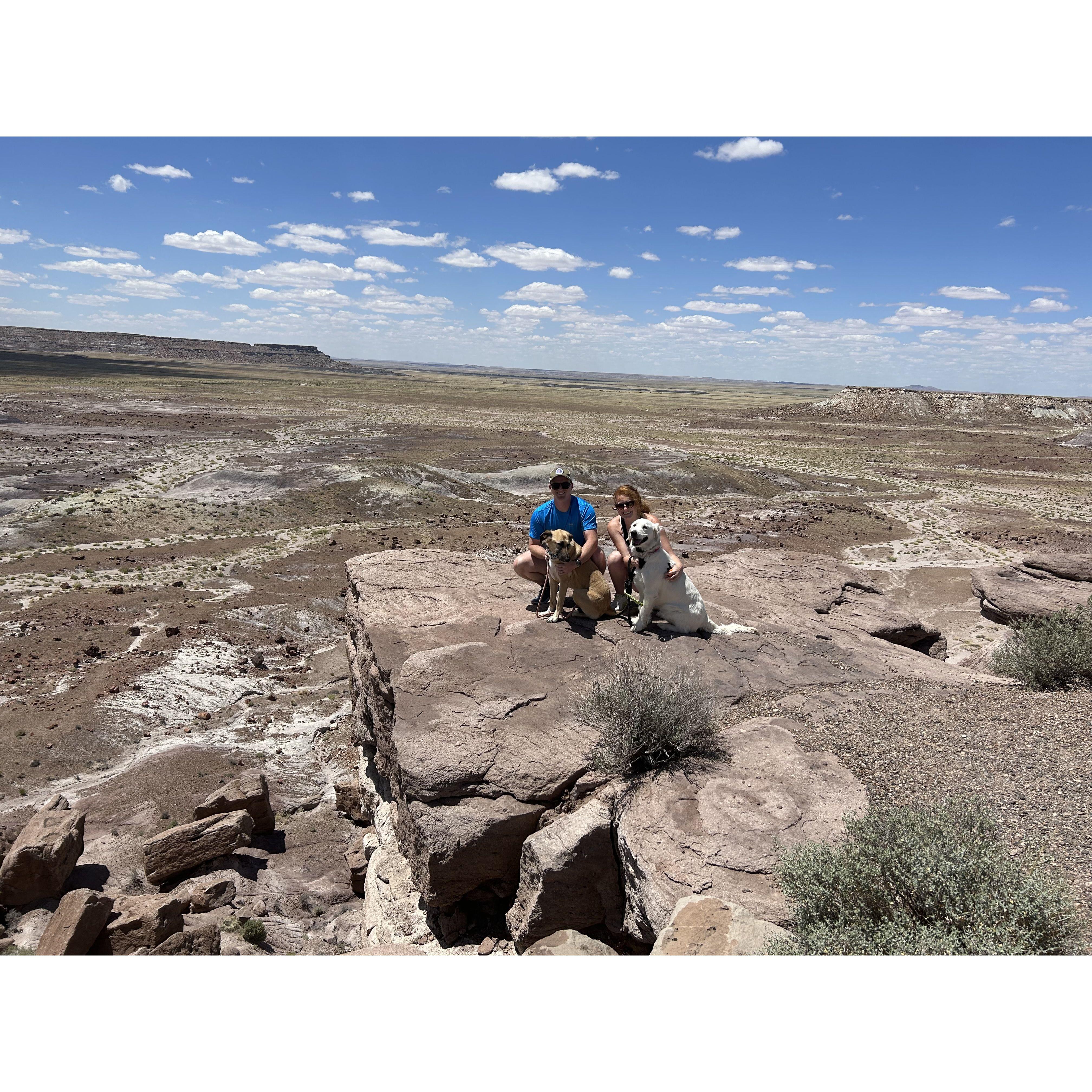 Petrified Forest National Park, Arizona