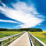 Cape Cod Rail Trail