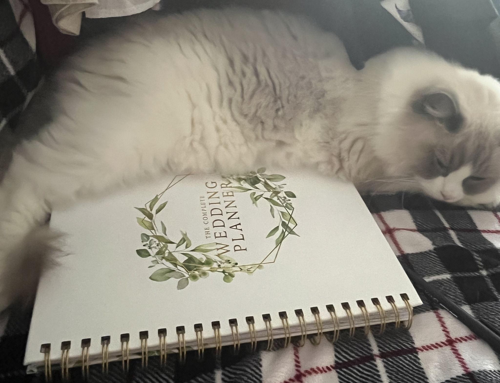 The Wedding Website of Meghan O’Sullivan and Dan Flanagan