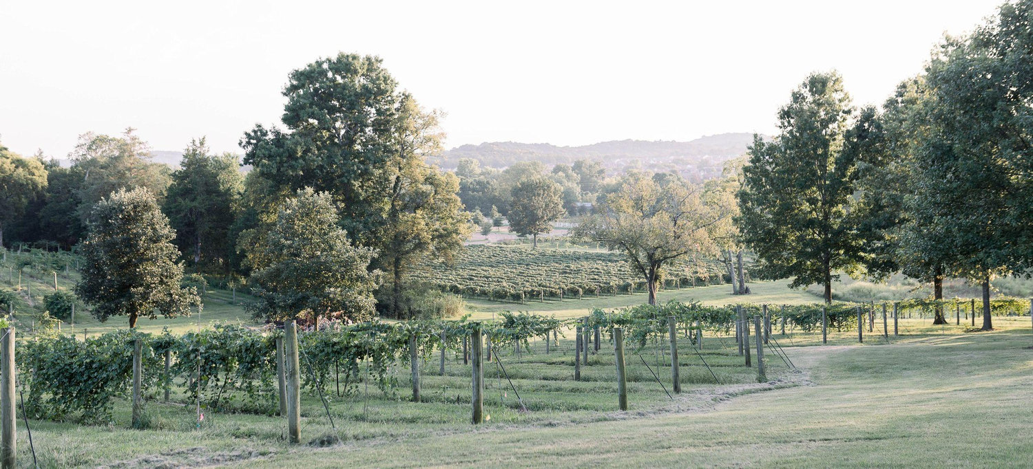 The Wedding Website of Samantha Accola and Moheb Sous
