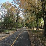Bike the path through Somerville
