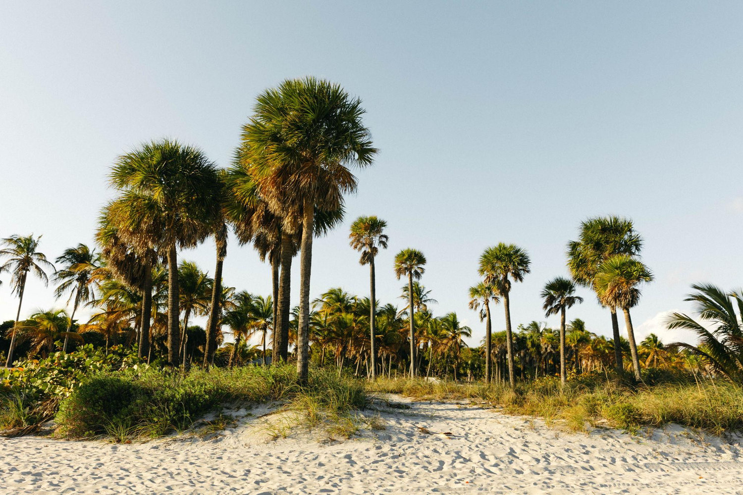 The Wedding Website of Sara Benz and Blaine Levin