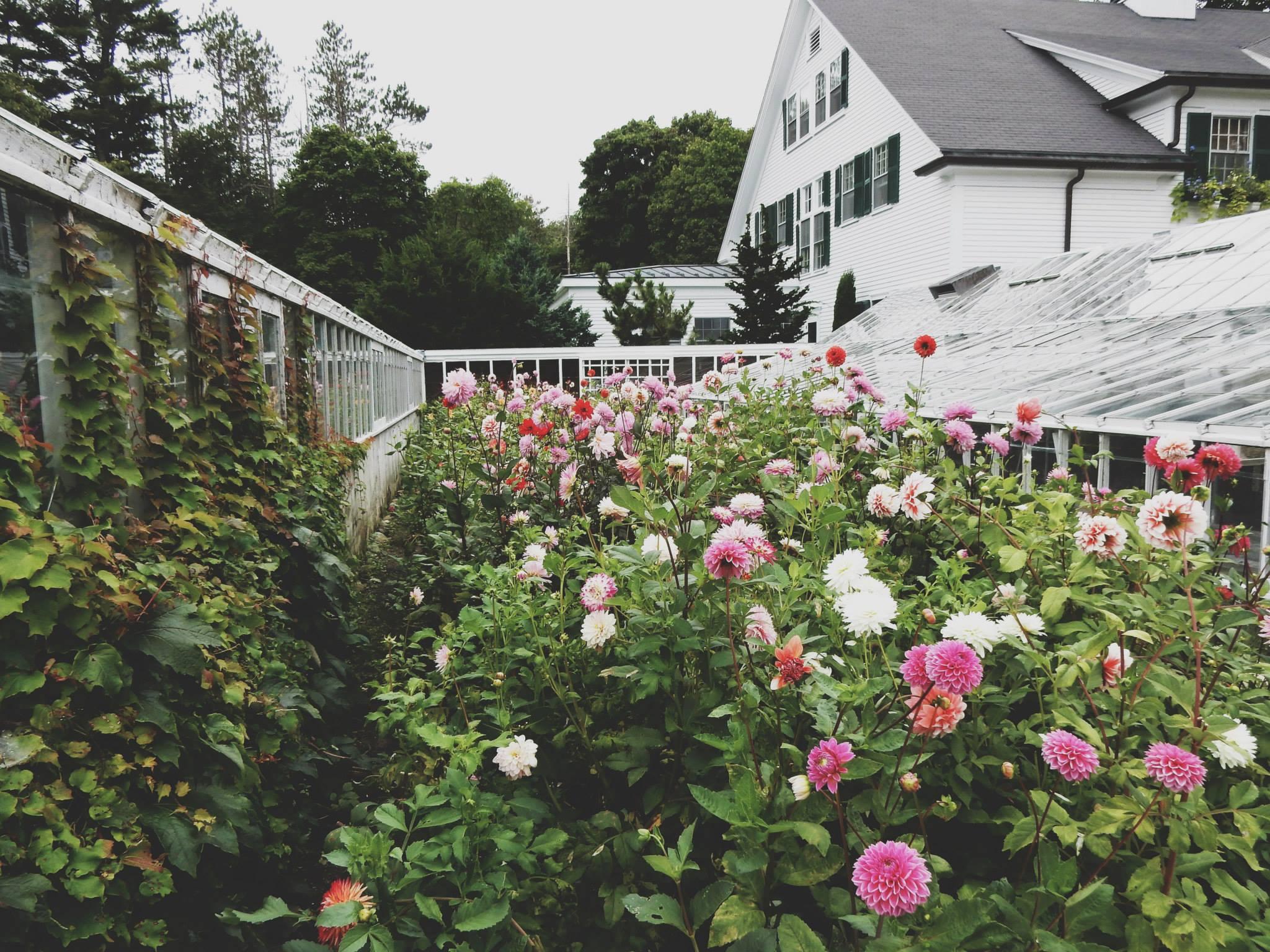 The Wedding Website of Greta Kent and Sean Brennan