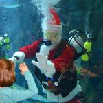 Downtown Aquarium