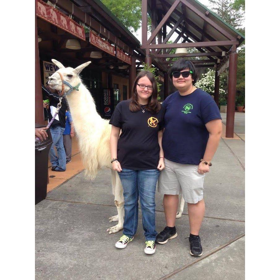 At the Columbia, SC zoo. This llama was real and it was so nice.