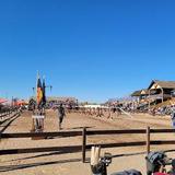 Arizona Renaissance Festival