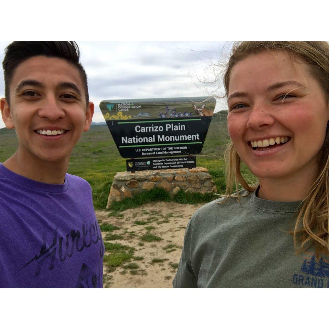 2019: Checking out the Super Bloom