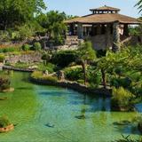 Japanese Tea Garden