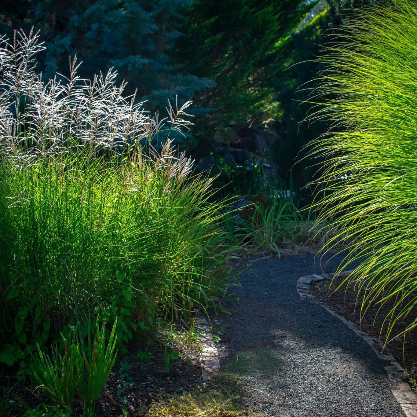 To arrive at our venue space you will walk through beautiful gardens blooming with seasonal flowers.