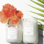 Jessica Ann Gallery & Islamorada Candle Company