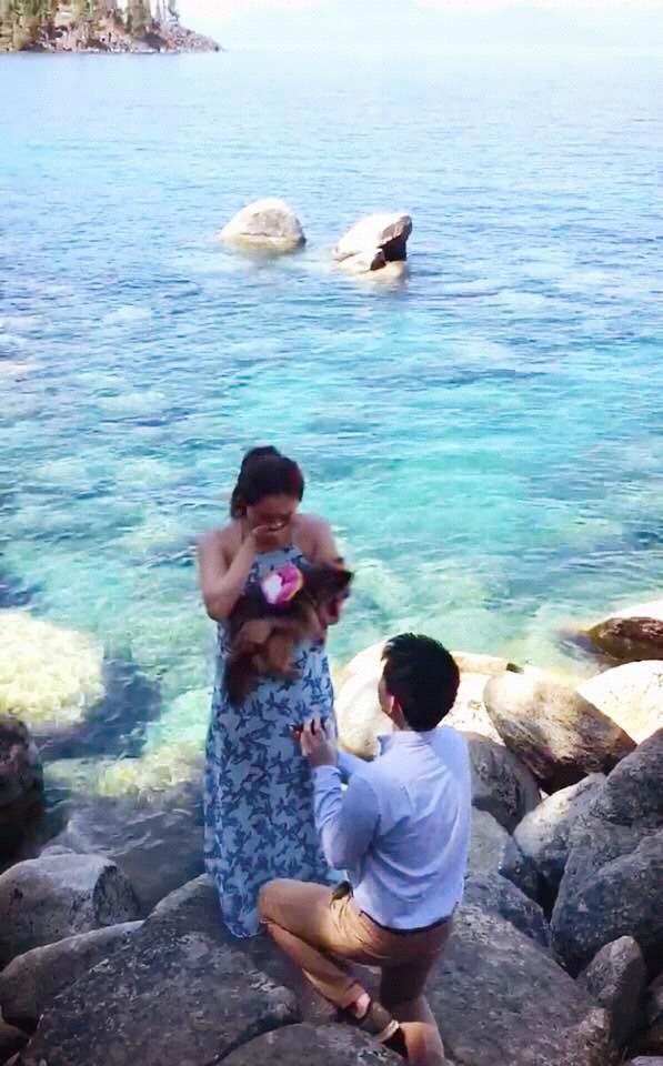 The day Ellen said “Yes”
We made sure Sammi was there, too!
🐾🐶💍