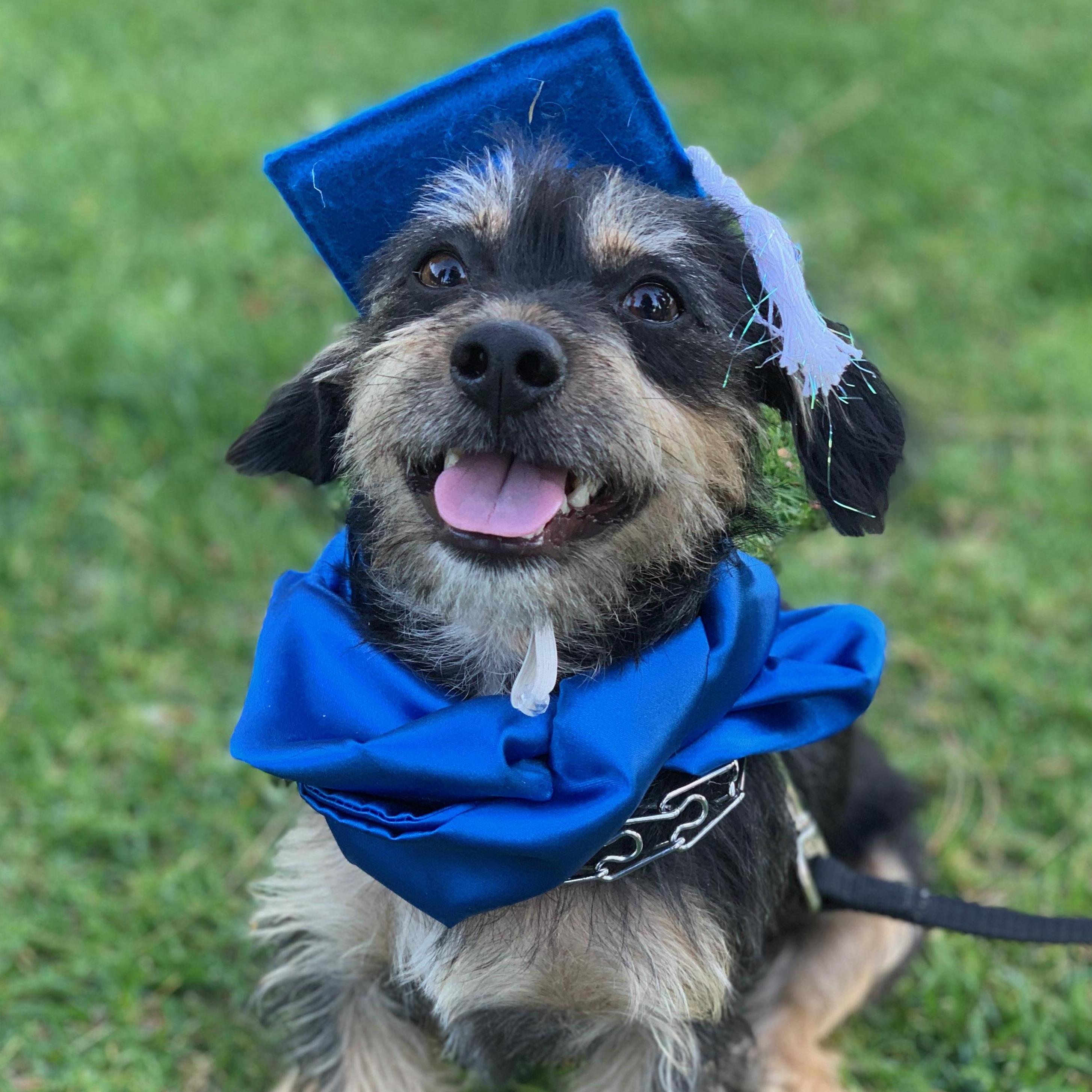 Puppy graduation! We're so proud.