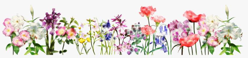 b60a622c-0b53-464f-a6ee-55c3b5e7952f