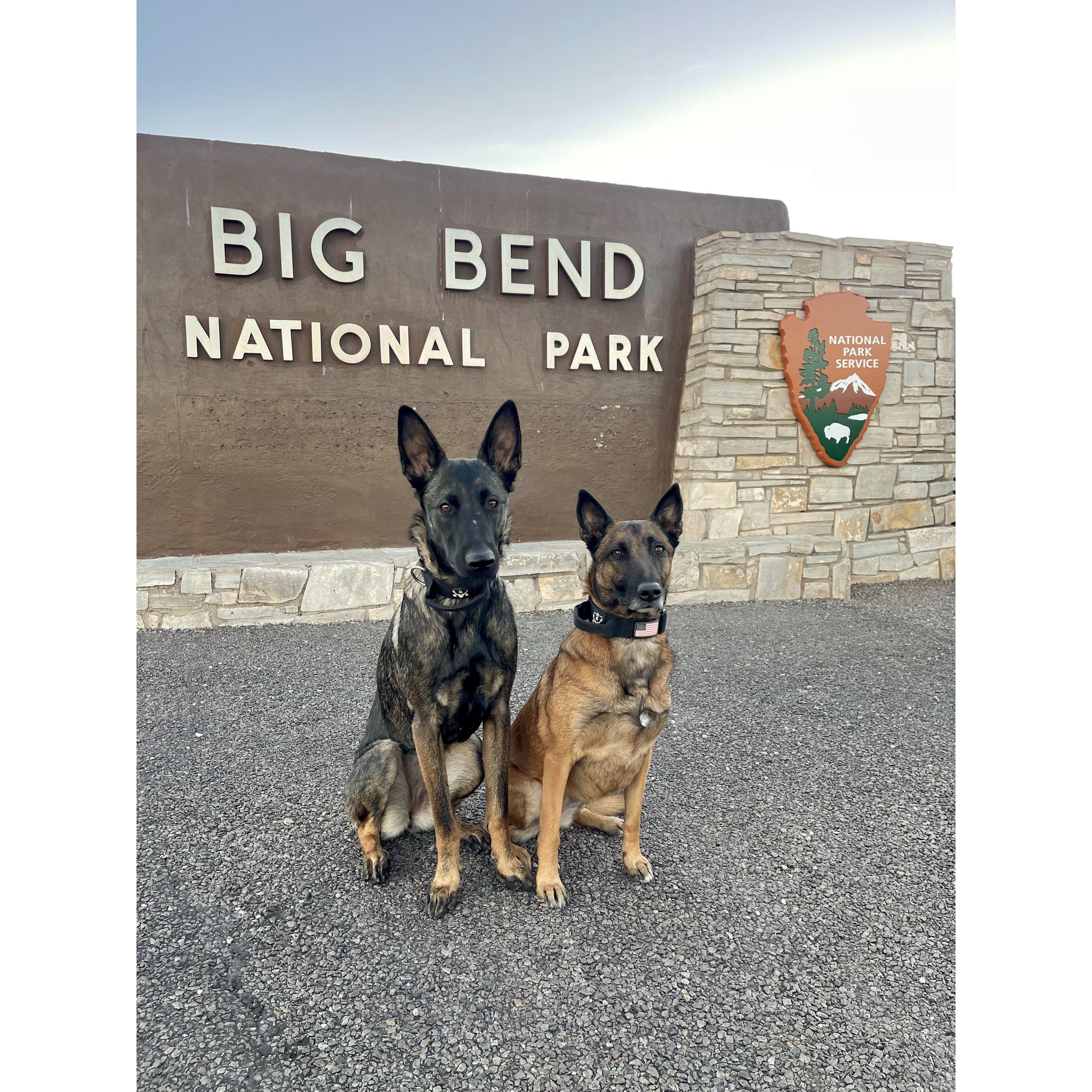 February 2025 | Trip to Big Bend National Park, TX