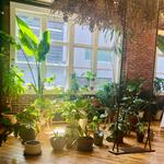 Formation Sauna + Wellness