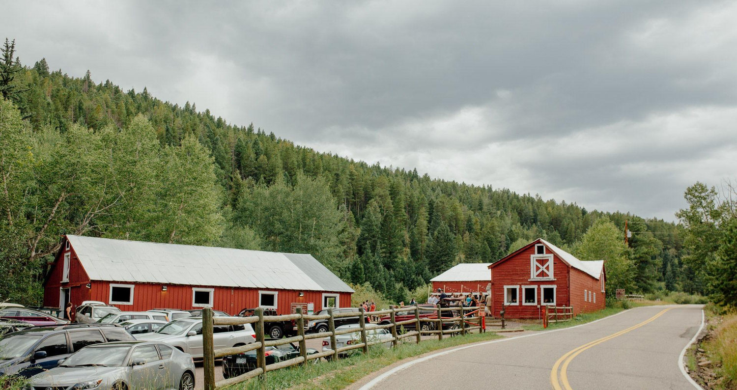 The Wedding Website of Tracy Goodwin and Mike Raider
