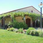 Wine Tasting at Cooper Vineyards