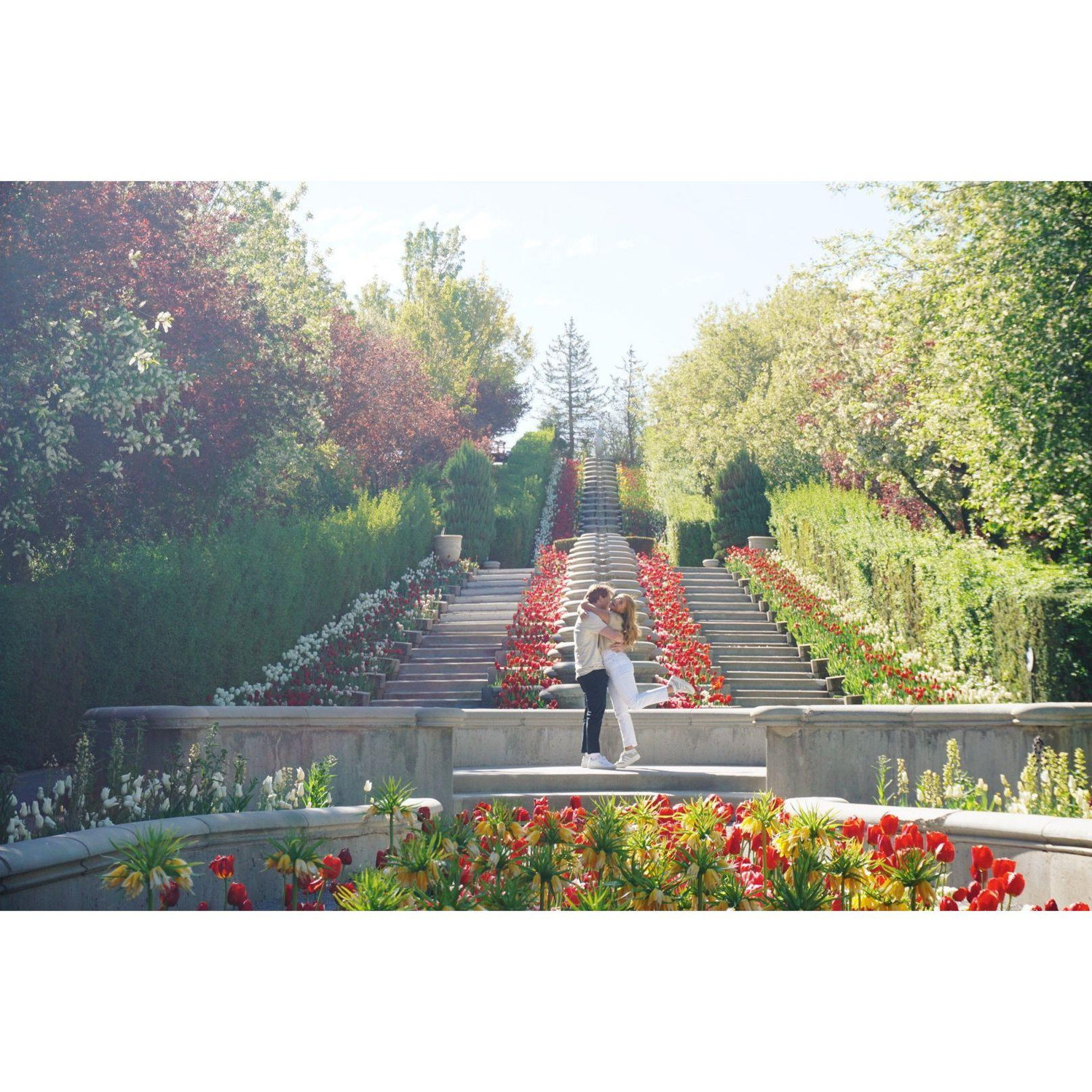 The Proposal