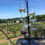 Wine Tasting Tour